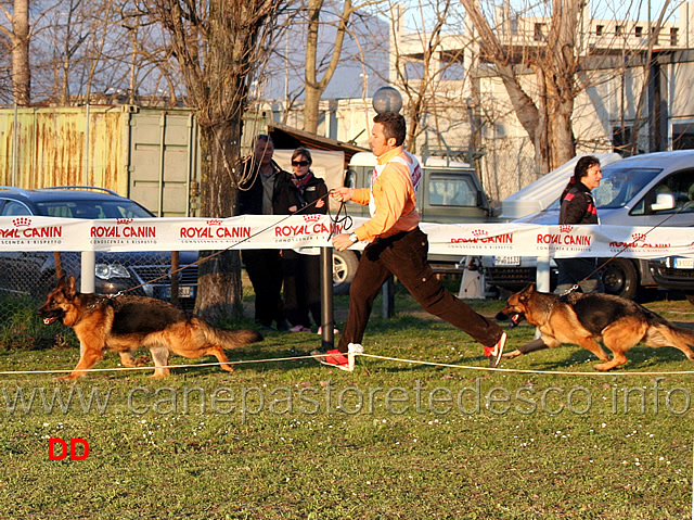 quana-di-casa-beggiato-e-birra-lucky-animals.jpg - Adulte femmine Quana di Casa Beggiato e Birra Lucky Animals