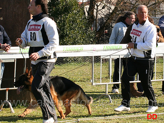 ramos-di-belpoggio-02.jpg - Giovanissimi maschi. Ramos di Belpoggio