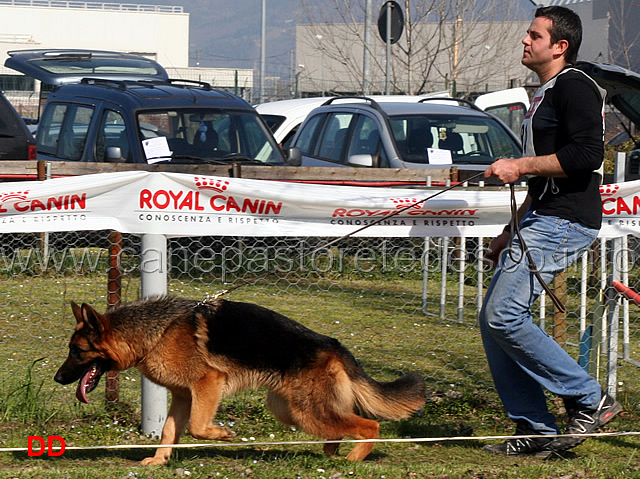 tricksie-del-monte-poliziano.jpg - Giovanissime femmine Tricksie del Monte Poliziano