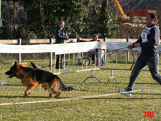 vasco-dei-colli-albani-03.jpg - Giovani maschi Vasco dei Colli Albani