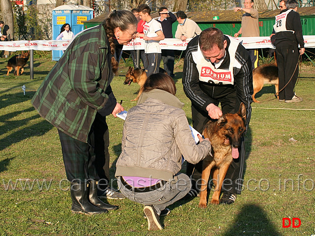 vera-benini-al-controllo-tatuaggi.jpg - Vera Benini al controllo tatuaggi