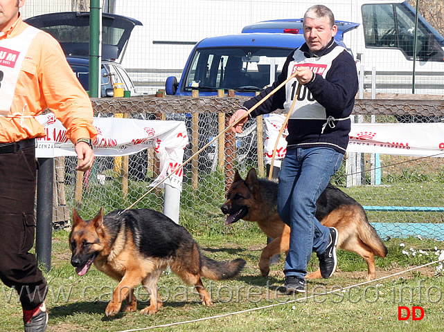 xita-di-casa-max-e-aura-bea.jpg - Cucciolone femmine Xita di Casa Max e Aura Bea