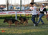 birra-lucky-animals-e-aidin-di-casa-ines