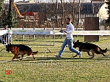 edu-degli-arvali-e-ursus-goldenen-strand