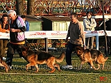 quana-di-casa-beggiato-e-birra-lucky-animals-al-fuss