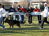 ursus-goldenen-strand