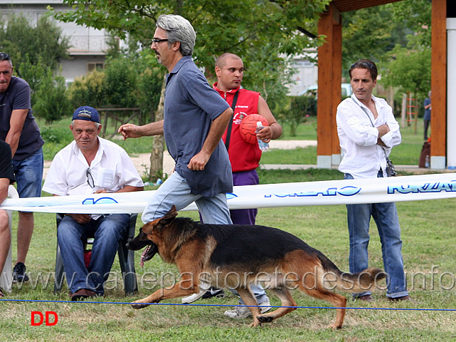 nakros-della-genia-osca-03.jpg - Lavoro maschi Nakros della Genia Osca al fuss