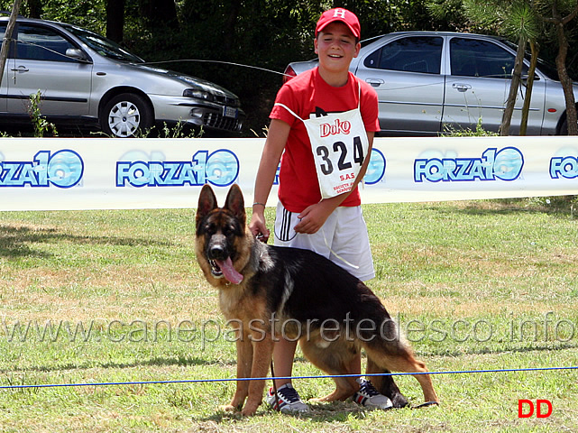 quinn-di-casa-gregori-9-suff.jpg - Cuccioloni maschi Quinn di Casa Gregori 9 Suff