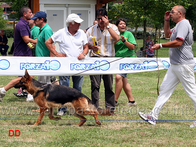 tabata-del-palatium-parvum-04.jpg - Giovanissime femmine Tabata del Palatium Parvum