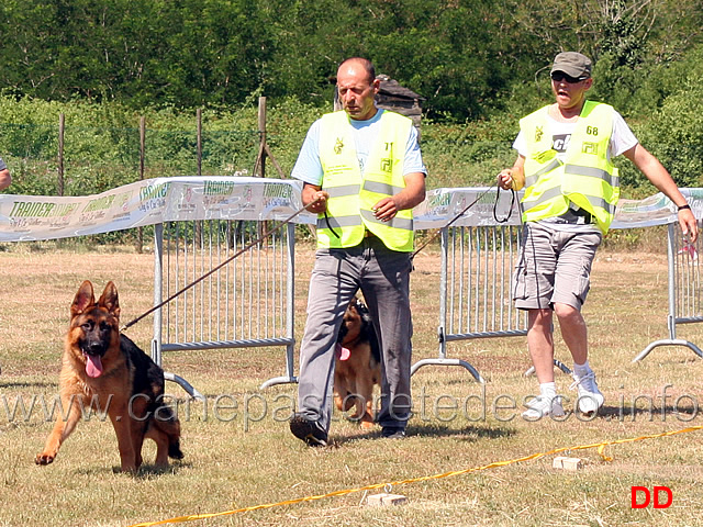 juniores-maschi-nelson-kapellenberg-fox-di-casa-montello.jpg - Juniores maschi Nelson Kapellenberg e Fox di Casa Montello