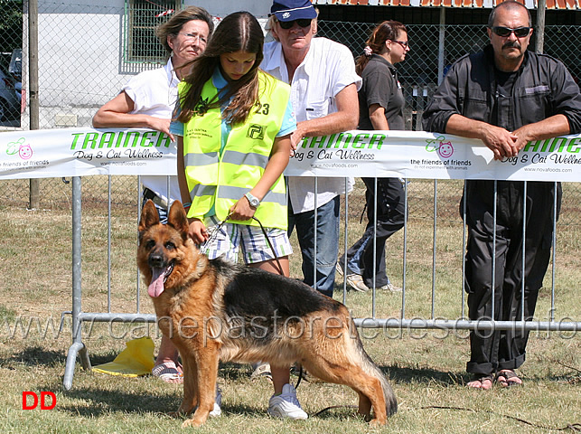 veterane-femmine-mara-dell-alpe-adria.jpg - Veterane femmine Mara dell'Alpe Adria