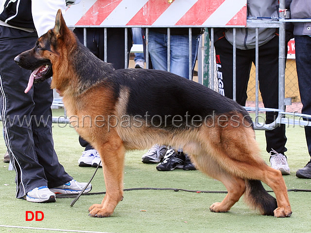 boris-degli-iapigi-3mb-giovanissimi-maschi.jpg - Boris degli Iapigi 3 MB Giovanissimi maschi