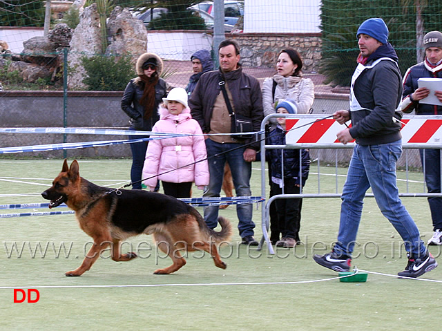 giovani-maschi-bax-del-pobur.jpg - Giovani maschi Bax del Pobur 