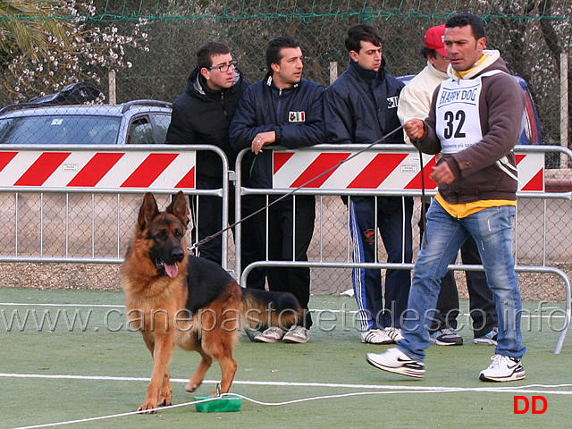 giovani-maschi-vitor-casa-adamo.jpg - Giovani maschi Vitor Casa Adamo 