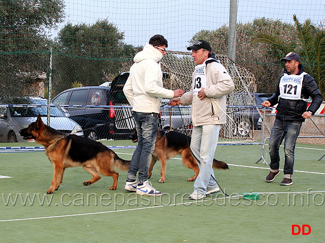 giovani-maschi-yago-della-grande-medina-e-yerom.jpg - Giovani maschi Yago della Grande Medina e Yerom