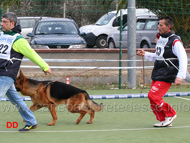 giovanissimi-maschi-baxter-degli-iapigi.jpg - Giovanissimi maschi Baxter degli Iapigi 