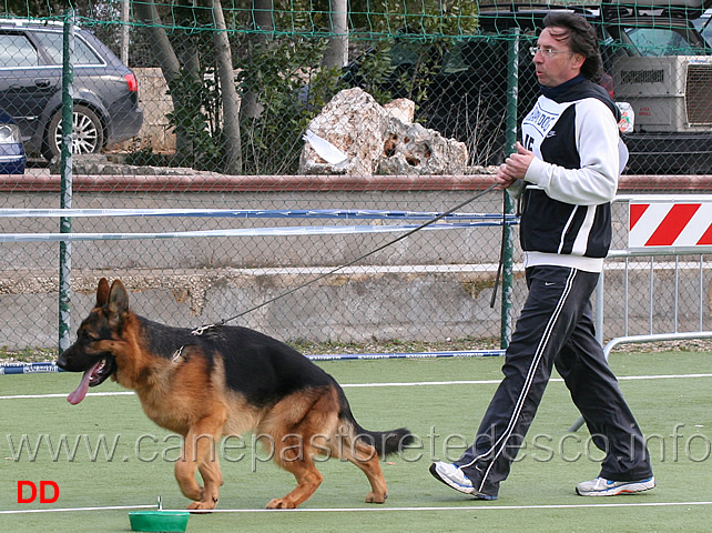 giovanissimi-maschi-boris-degli-iapigi.jpg - Giovanissimi maschi Boris degli Iapigi 