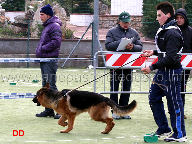 giovanissimi-maschi-brian-della-valle-d-itria.jpg - Giovanissimi maschi Brian della Valle d'Itria