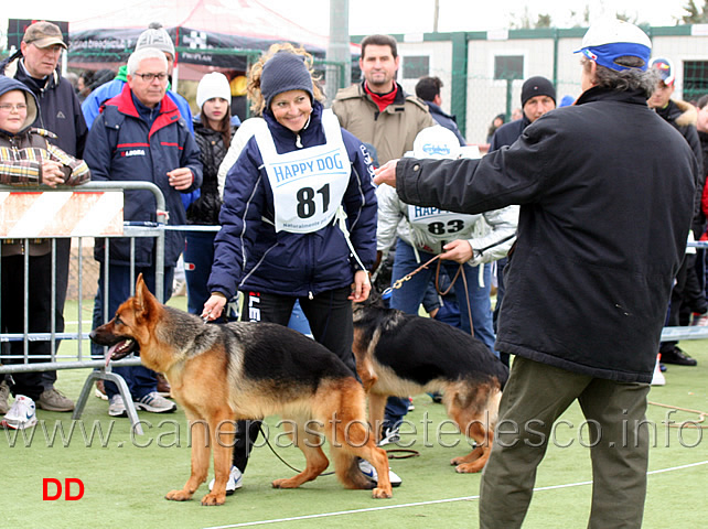 guenda-degli-iapigi-02.jpg - Guenda degli Iapigi 9 MB Cucciolone femmine 