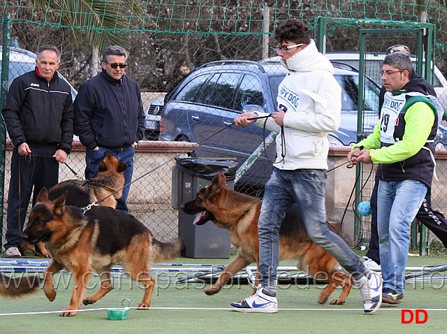 yago-della-grande-medina-nico-dell-alto-pino.jpg -  Yago della Grande Medina e Nico dell'Alto Pino 