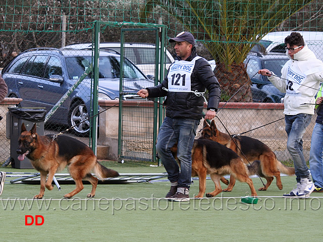 yerom-yago-della-grande-medina-nico-dell-alto-pino.jpg - Yerom, Yago della Grande Medina e Nico dell'Alto Pino 