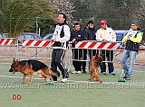 giovani-maschi-uran-degli-iapigi-e-nico-dell-alto-pino