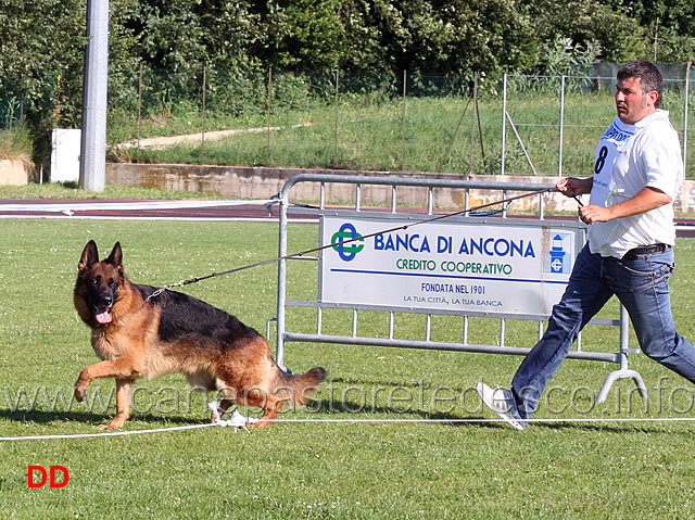 lavoro-maschi-jack-del-samengio.jpg - Lavoro maschi Jack del Samengio