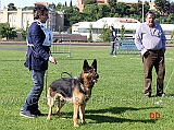 michele-pianelli-presentazione-di-brando-dei-lupi-invicti