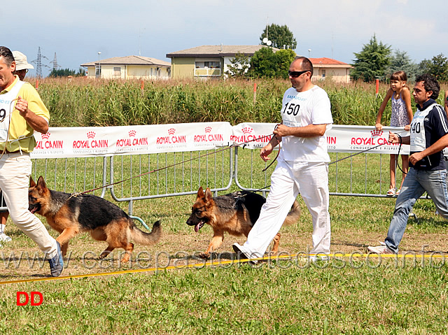 aika-od-kovacika-e-zeda-del-colle-guasco.jpg - Cucciolone femmine Aika Kovacika e Zeda del Colle Guasco