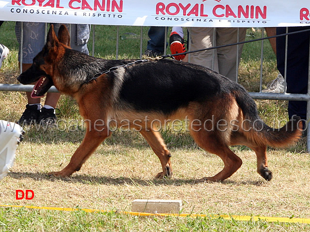 connie-di-casa-ines-03.jpg - Giovanissime femmine Connie di Casa Ines