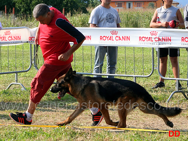 falko-04.jpg - Lavoro maschi Falko