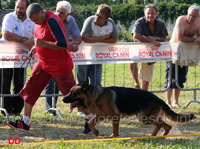 falko-05.jpg - Lavoro maschi Falko