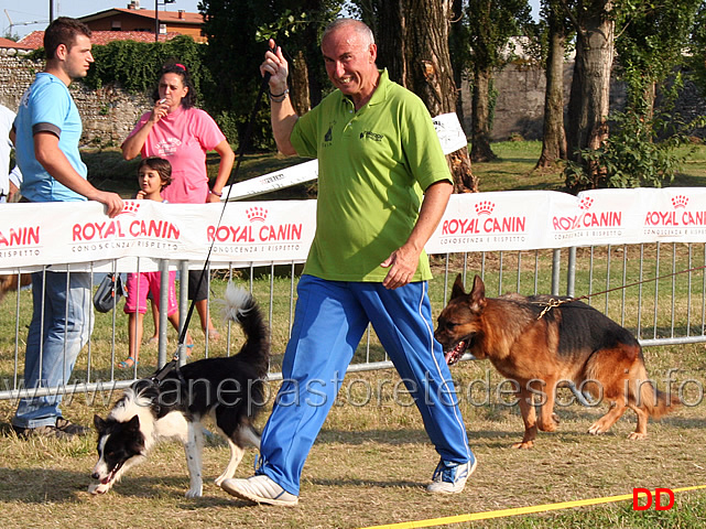 gruppo-allevamento-alpe-adria-03.jpg - Gruppo Allevamento dell'Alpe Adria. In testa la mascotte bianco-nera