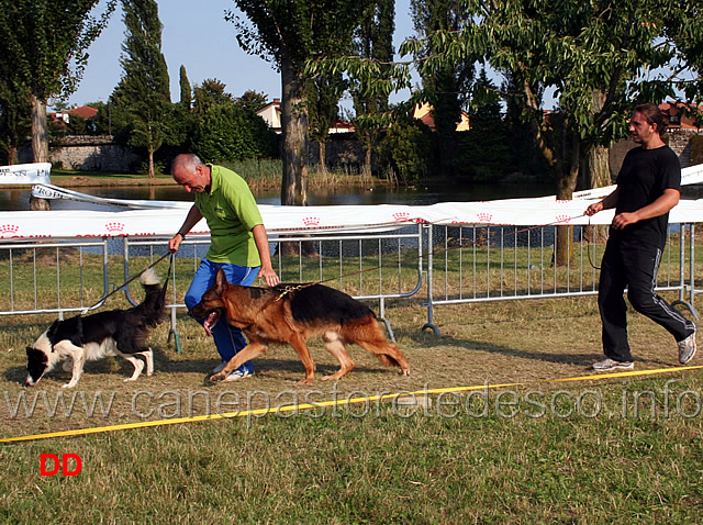 gruppo-allevamento-alpe-adria-04.jpg - Gruppo Allevamento dell'Alpe Adria. In testa la mascotte bianco-nera seguita da Hobby