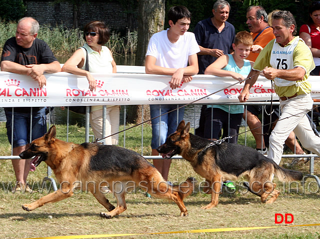 lara-del-gupo-e-caty-del-gupo.jpg - Giovani femmine Lara del Gupo e Caty del Gupo