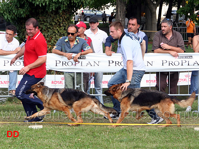 maty-della-gens-pontina-e-bine-frutteto.jpg - Lavoro femmine Maty Gens Pontina e Bine Frutteto