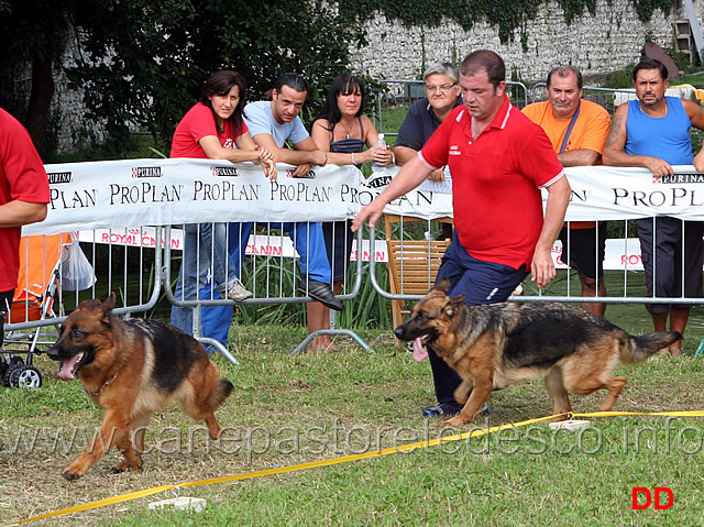 nicki-di-croce-santo-spirito-e-maty-della-gens-pontina.jpg - Lavoro femmine Nicki di Croce Santo Spirito e Maty della Gens Pontina