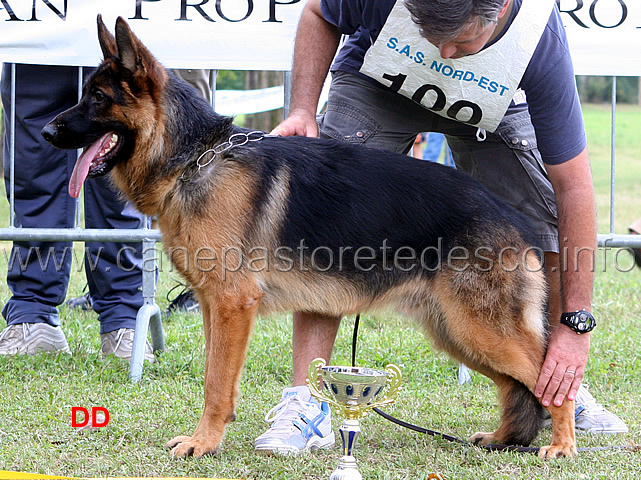 paco-di-casa-bisceglia-4MB-giovanissimi-maschi.jpg - Paco di Casa Bisceglia 4 MB Giovanissimi maschi