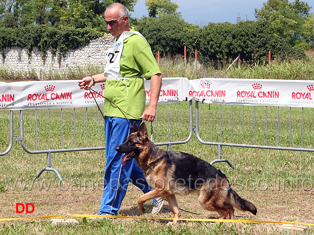 zoe-dell-alpe-adria.jpg - Giovanissime femmine Zoe dell'Alpe Adria