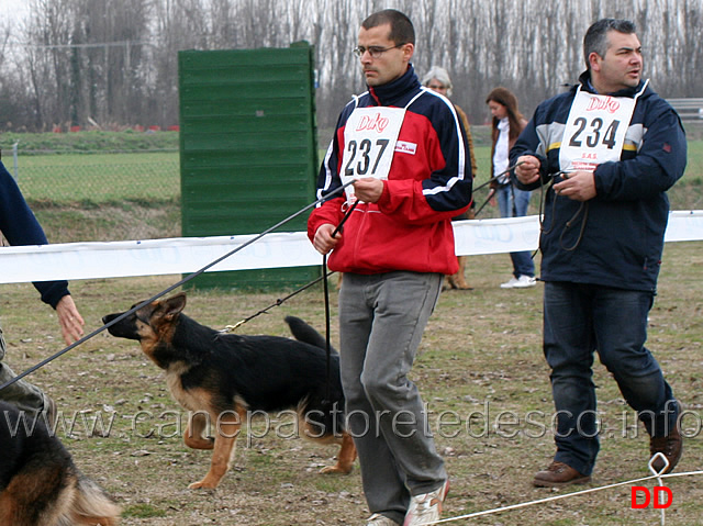 juniores-femmine-molly-della-rocca-malatestiana.jpg - Juniores Femmine Molly della Rocca Malatestiana