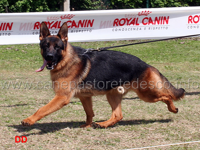 arko-della-grande-valle-03-.jpg - Arko della Grande Valle 