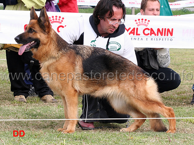 elys-di-camporeale-1ecc-lavoro-femmine.jpg -  Elys di Camporeale 1 Ecc Lavoro femmine 