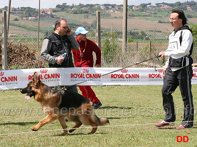 giovanissimi-maschi-alex-della-valle-d-itria.jpg - Giovanissimi maschi Alex della Valle d'Itria 