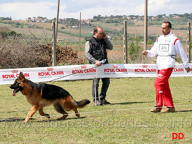 giovanissimi-maschi-helmo-blackhof.jpg - Giovanissimi maschi Helmo Blackhof 