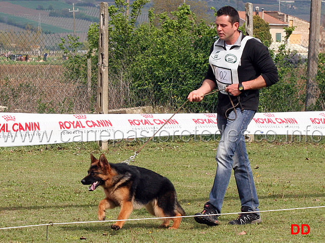 juniores-femmine-mina-di-casa-vizzato.jpg - Juniores femmine Mina di Casa Vizzato