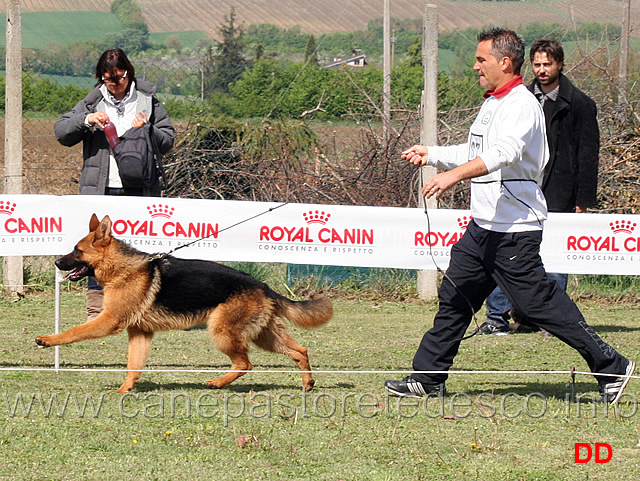 juniores-maschi-dax-v-urselspiel.jpg - Juniores maschi Dax v. Urselspiel