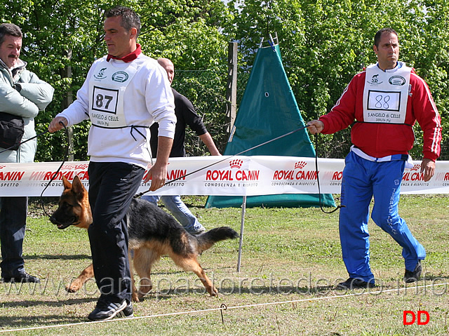 juniores-maschi-dux-v-urselspiel.jpg - Juniores maschi Dux v. Urselspiel