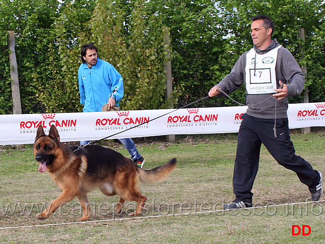 lavoro-maschi-onix-karanberg.jpg - Lavoro maschi Onix v Karanberg 