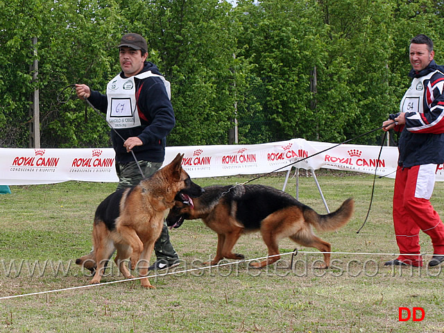 mina-team-torretta-e-brenda-di-ca-san-marco.jpg - Mina Team Torretta e Brenda di Ca' San Marco