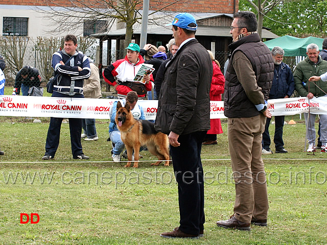 trofeo-andreina-schippa-aglini-02.jpg - Si decide il vincitore del Trofeo Memorial Andreina Schippa Aglini 